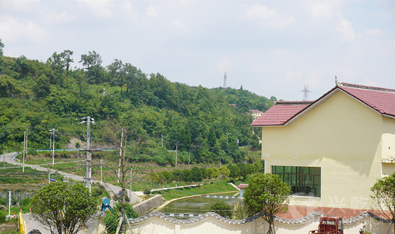 微信截图_20211209153159.png 微信截图_20211209153159.png